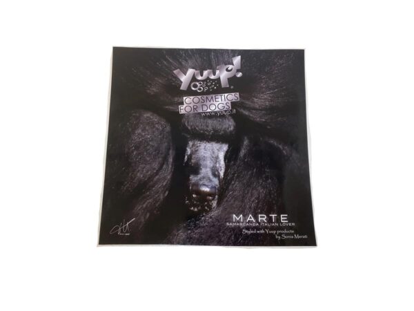 Yuup! Klistremerke Sort Puddel