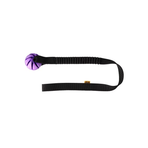 Dingo Draleke Med Ball 65cm