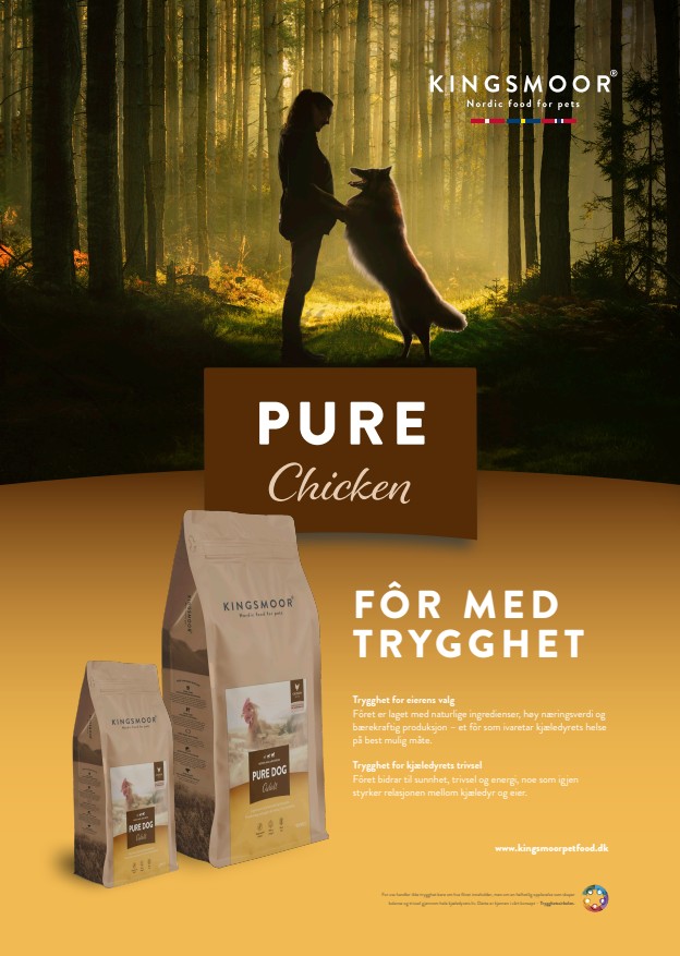 Kingsmoor Plakat Kylling - Bilde 1