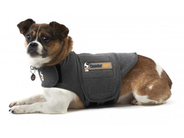 Thundershirt Xxl