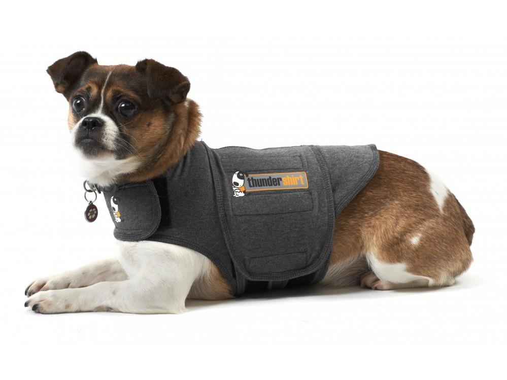 Thundershirt Xxl - Bilde 1