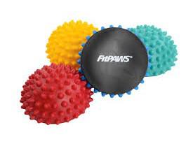 Fitpaws Paw Pods 4Pk