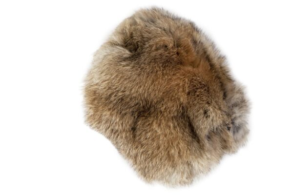 Kaninskinn til Dummy