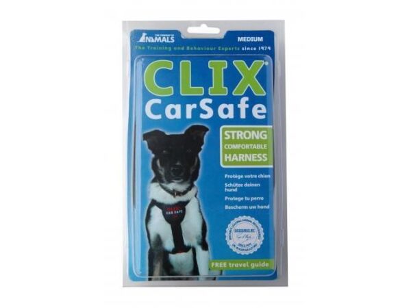 Clix Car Safe L