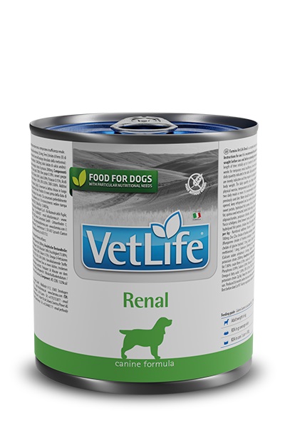 Farmina Dog Vet Life Renal 300 Gr Wet