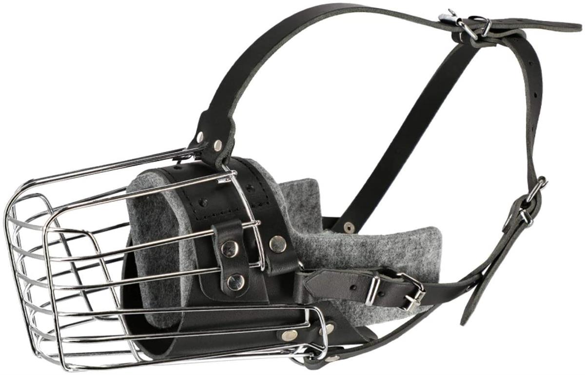 Dingo Treningsmunnkurv Polstret Metall Str 1 - Bilde 1