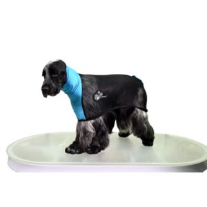 Show Tech+ Meshdekken For Springer Spaniel Og Border Collies - Bilde 2