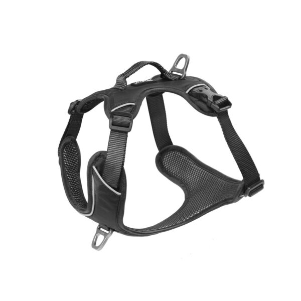 Kyflie Momentum Harness Svart