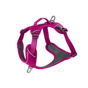 Kyflie Momentum Harness Rosa