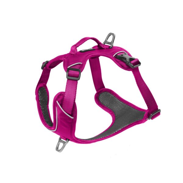 Kyflie Momentum Harness Rosa