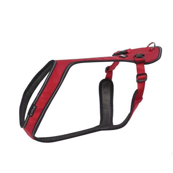 Kyflie Otium Harness