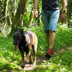 Kyflie Otium Leash Svart - Bilde 3