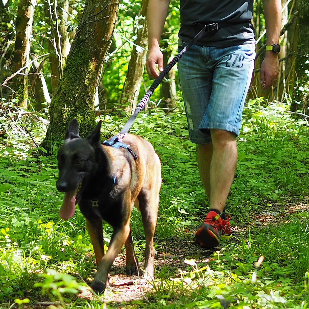 Kyflie Otium Leash Svart - Bilde 3