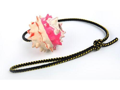 Dingo Rågummiball m/Snor