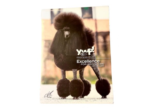 Yuup! Plakater 50X70Cm