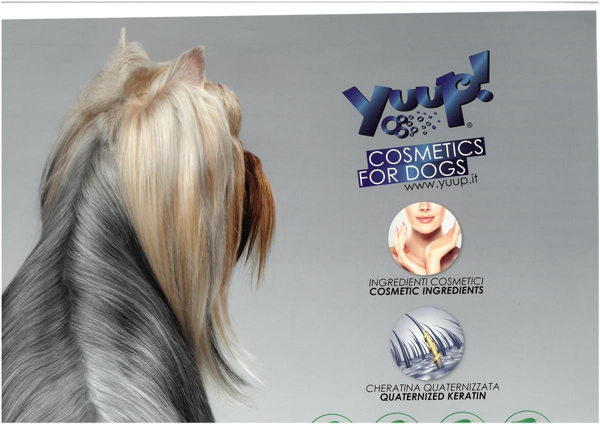 Yuup! Plakater 50X70Cm - Bilde 8