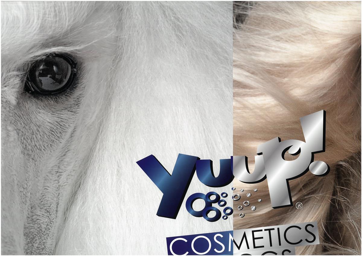 Yuup! Plakater 50X70Cm - Bilde 1