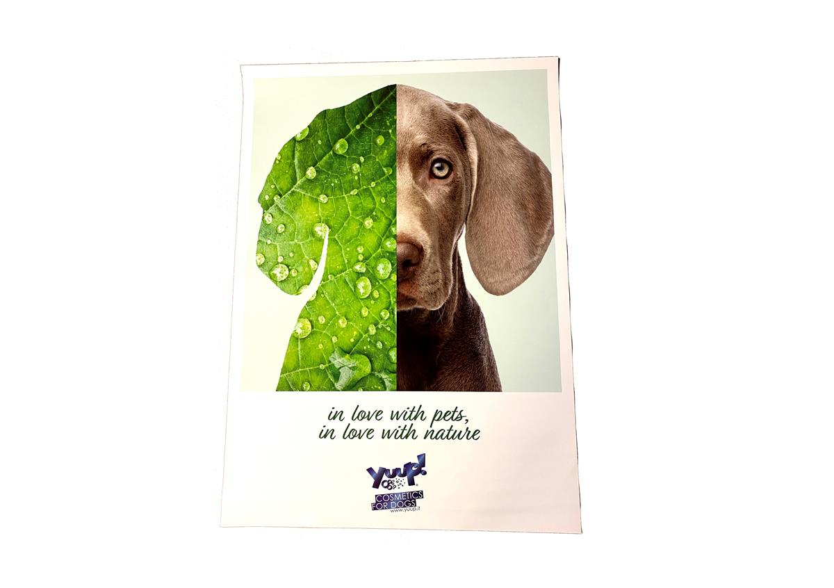 Yuup! Plakater 50X70Cm - Bilde 2