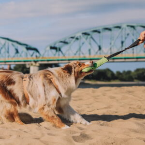 Dingo Draleke M/ Strikk Og Bitepølse 27 Cm - Bilde 2