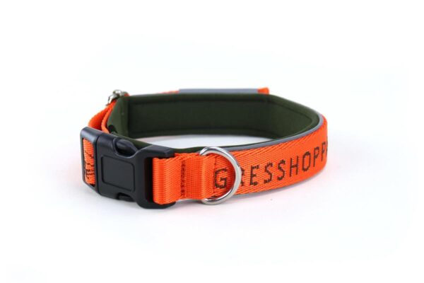 Gresshoppa Halsbånd Begna Oransje