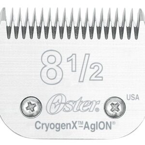 Oster Skjær - Bilde 8