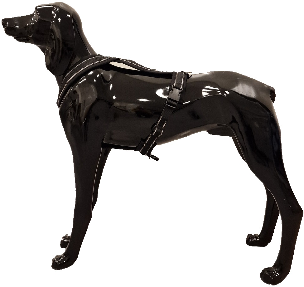 Yukon Spor-/Sykkelsele Pro Svart - Bilde 5