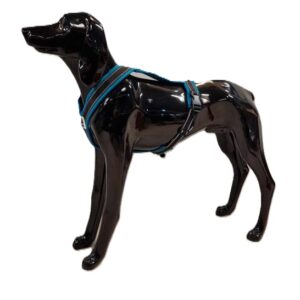 Yukon Spor-/Sykkelsele Pro Sjøgrønn