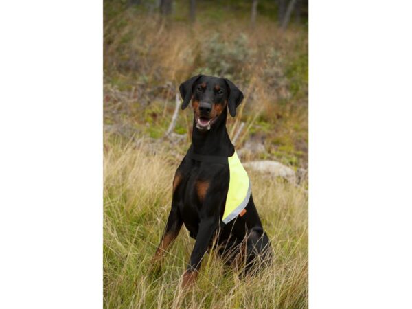 Yukon Markeringsdekken Orange/Gul