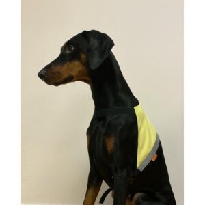 Yukon Markeringsdekken Rosa/Gul - Bilde 2