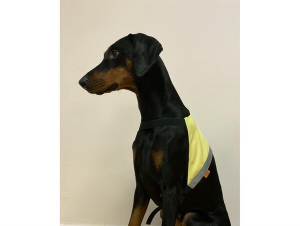 Yukon Markeringsdekken Rosa/Gul