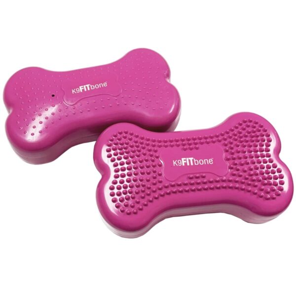 Fitpaws Bone Mini 2Pk