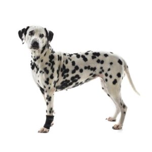 Kruuse Rehab Karpalledd Beskytter - Bilde 3