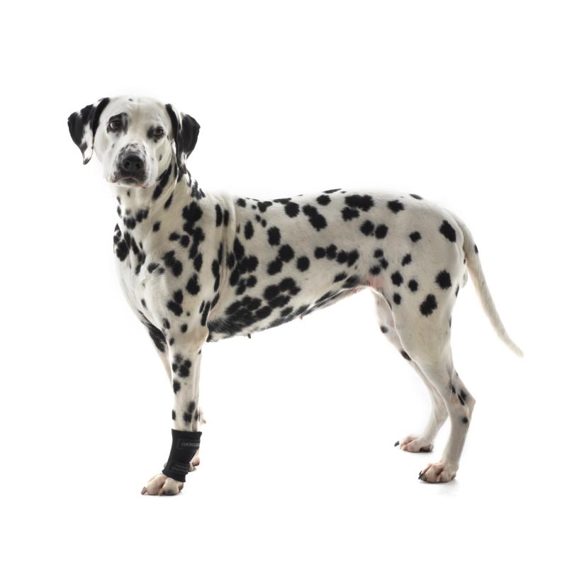 Kruuse Rehab Karpalledd Beskytter - Bilde 4