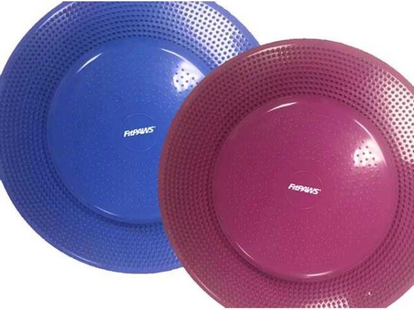 Fitpaws Balanseskive 55Cm