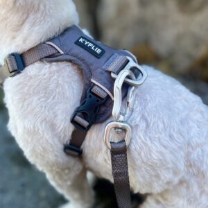 Detaljer grå KYFLIE Momentum sele på liten hvit hund