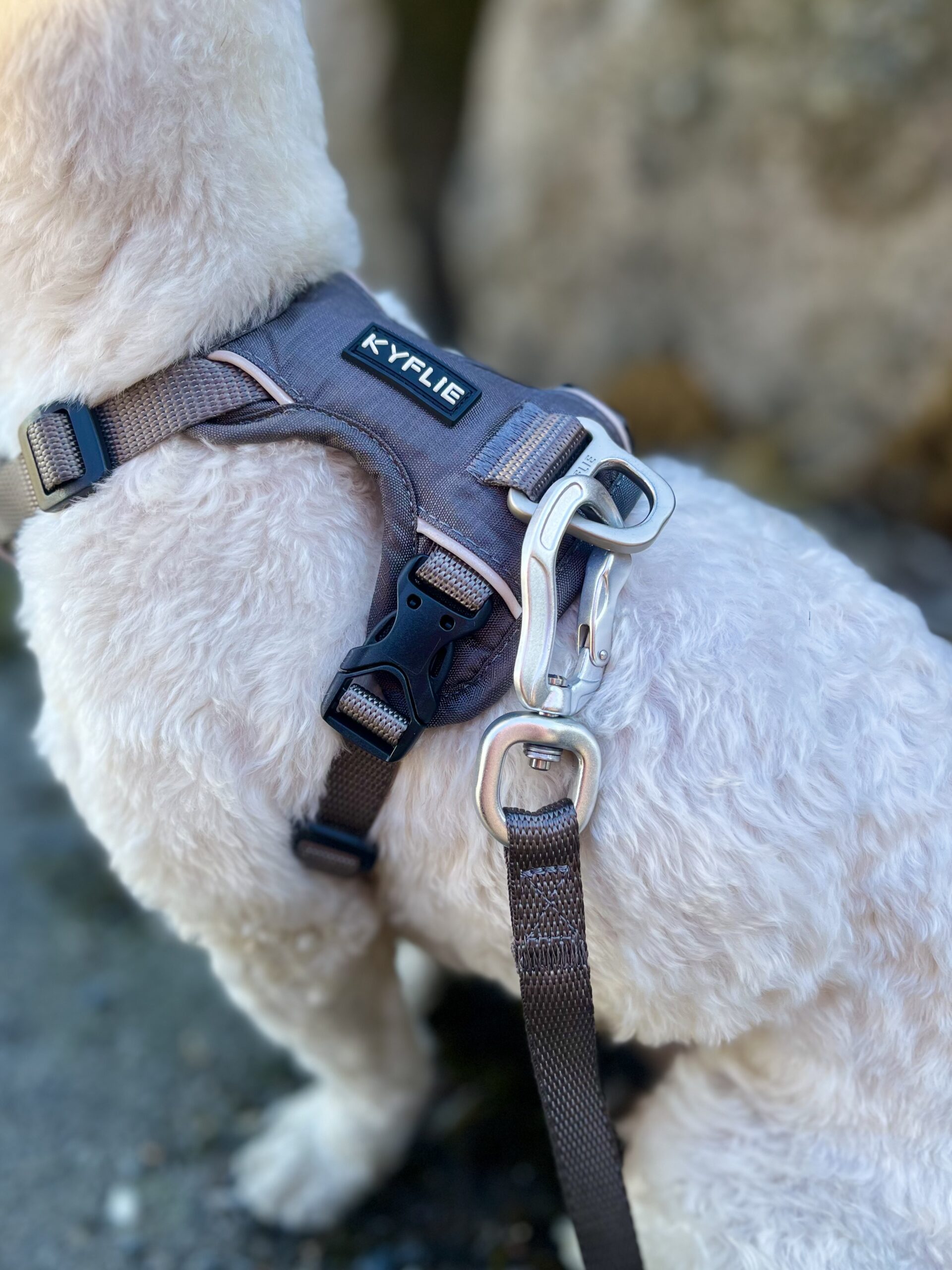 Detaljer grå KYFLIE Momentum sele på liten hvit hund