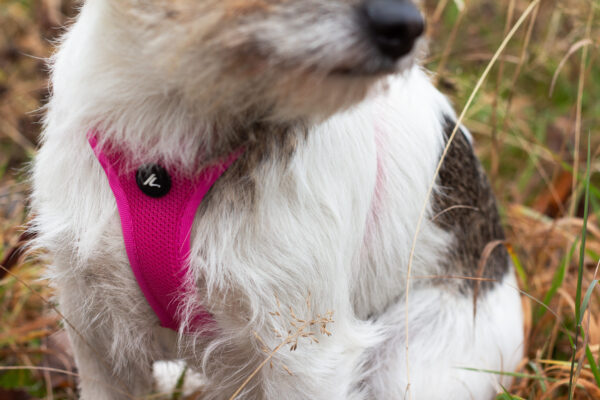 Kyflie Momentum Air Step-In Sele Cerise