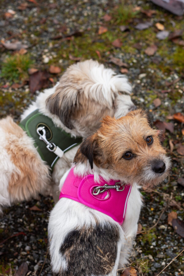 Kyflie Momentum Air Step-In Sele Grønn