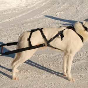 Yukon Bakdel Pinnesele Svart