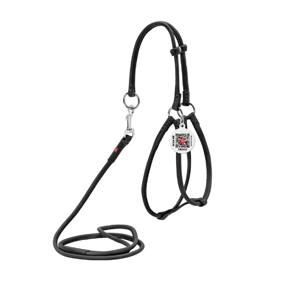 Collar Waudog Rundsydd Sele + Kobbel Svart - Bilde 1