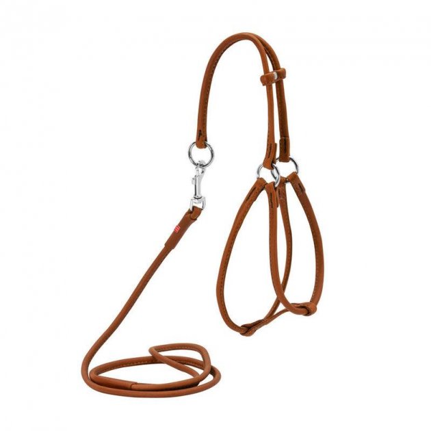 Collar Waudog Rundsydd Sele + Kobbel Brun - Bilde 2