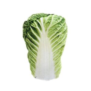 Ferribiella Matatabi Katteleke Grønnsaker - Bilde 5