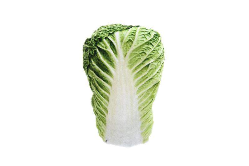 Ferribiella Matatabi Katteleke Grønnsaker - Bilde 5