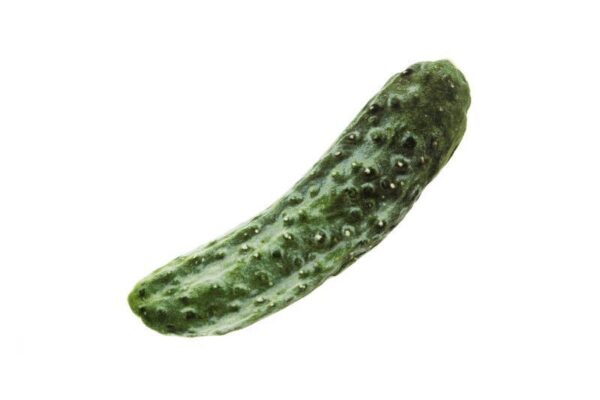 Ferribiella Matatabi Katteleke Grønnsaker