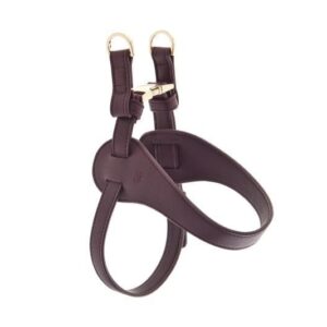 Ferribiella Mokka Sele - Bilde 6