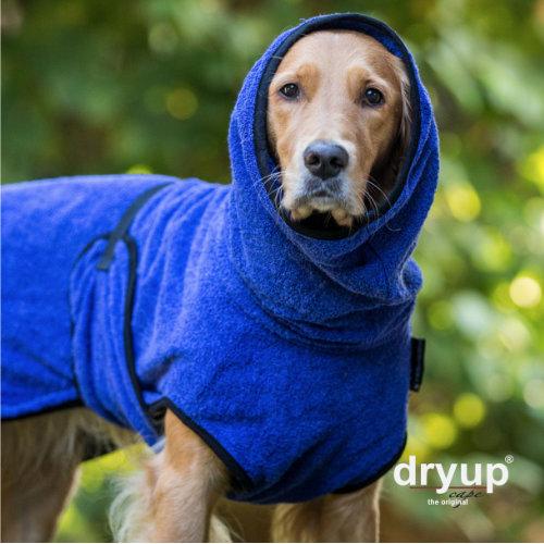 Dryup Cape Original Blueberry