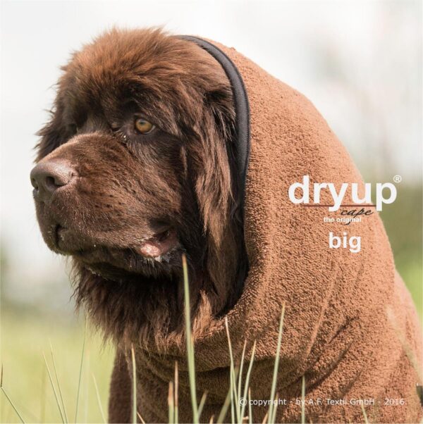 Dryup Cape Original Brown