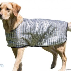 Cooldown Cape Silver