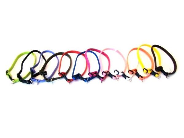 Alac Valpehalsbånd 10mm