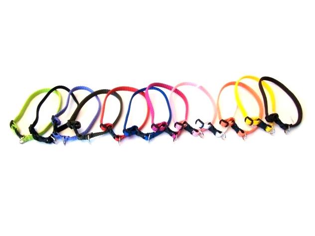 Alac Valpehalsbånd 10mm - Bilde 1